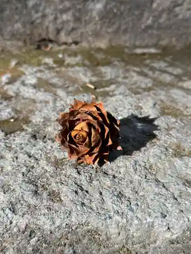 日光大室高龗神社(栃木県)