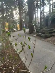 国上寺(新潟県)(2025年04月08日(火) 17時50分36秒投稿)