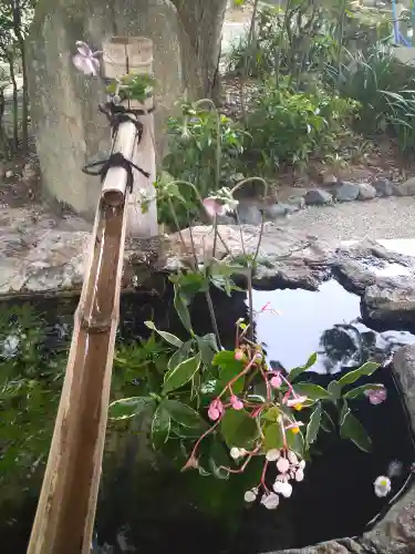 阿智神社の手水