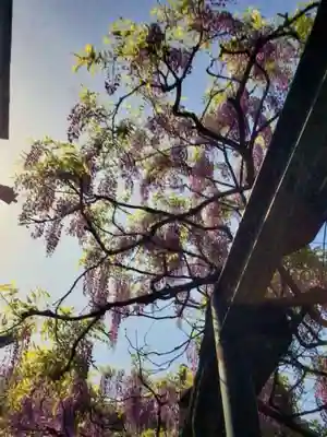 國領神社(東京都)