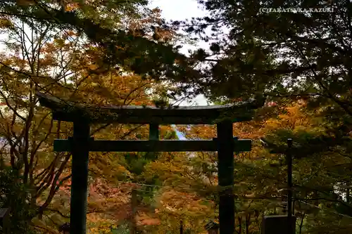 武蔵御嶽神社の鳥居