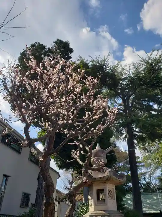 田端神社(東京都)