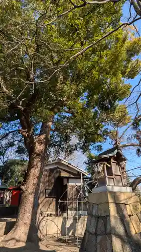 常磐神社(京都府)