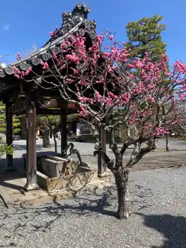 穴太寺の手水舎