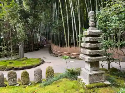 報国寺の庭園