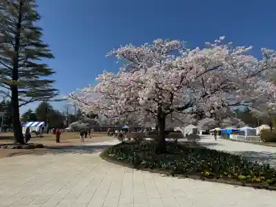 開成山大神宮の{uncategorized: "未分類", other: "その他", undefined: "問題あり", building: "その他建物", grave: "お墓", sacred_gate: "鳥居", guardian: "狛犬", statue: "像", buddha: "仏像", history: "歴史", nature: "自然", garden: "庭園", animal: "動物", pagoda: "塔", temizu: "手水舎", mountain_gate: "山門・神門", sanctuary: "本殿・本堂", subordinate: "末社・摂社", art: "芸術", scenery: "景色", jizo: "地蔵", ema: "絵馬", goshuin: "御朱印", omikuji: "おみくじ", items: "授与品その他", amulet: "お守り", goshuincho: "御朱印帳", eats: "食事", festival: "お祭り", votive_dance: "神楽", shichigosan: "七五三参", wedding: "結婚式", experience: "体験その他", initially: "初詣", around: "周辺", anti_infection: "感染症対策"}