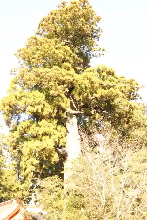香取神宮(千葉県)