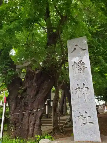 下高井戸八幡神社(東京都)
