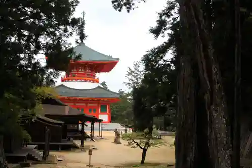 高野山金剛峯寺の塔