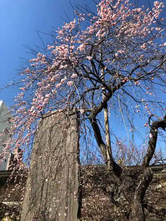 湯島天満宮の庭園