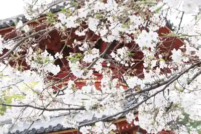 喜多院の{uncategorized: "未分類", other: "その他", undefined: "問題あり", building: "その他建物", grave: "お墓", sacred_gate: "鳥居", guardian: "狛犬", statue: "像", buddha: "仏像", history: "歴史", nature: "自然", garden: "庭園", animal: "動物", pagoda: "塔", temizu: "手水舎", mountain_gate: "山門・神門", sanctuary: "本殿・本堂", subordinate: "末社・摂社", art: "芸術", scenery: "景色", jizo: "地蔵", ema: "絵馬", goshuin: "御朱印", omikuji: "おみくじ", items: "授与品その他", amulet: "お守り", goshuincho: "御朱印帳", eats: "食事", festival: "お祭り", votive_dance: "神楽", shichigosan: "七五三参", wedding: "結婚式", experience: "体験その他", initially: "初詣", around: "周辺", anti_infection: "感染症対策"}