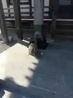 松林寺(群馬県)