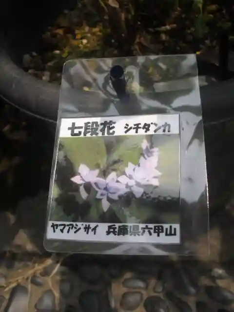 光則寺(神奈川県)