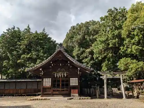 八幡社（柏井町）の本殿・本堂