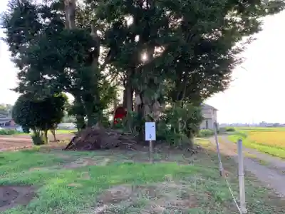 稲荷神社(千葉県)