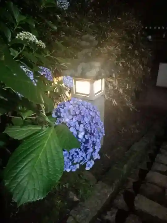 楽法寺(雨引観音)の自然