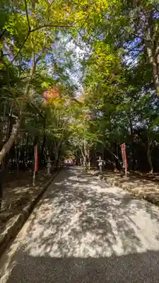 大原野神社(京都府)