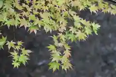 小國神社の自然