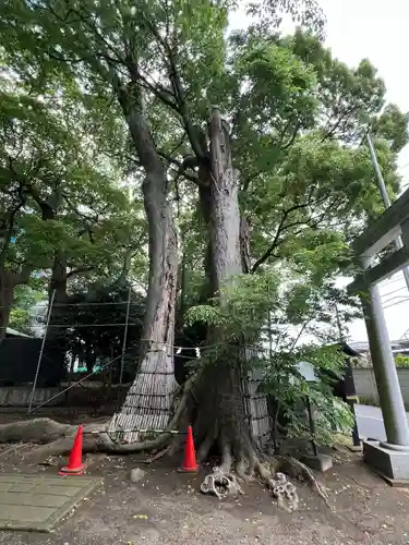 倉見神社(神奈川県)