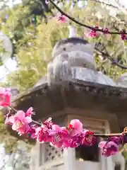 深大寺(東京都)