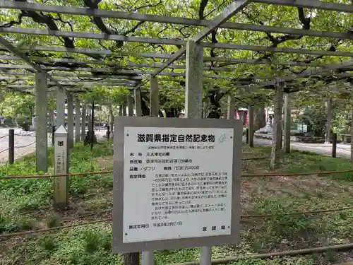 三大神社(滋賀県)
