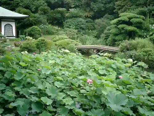 光明寺の庭園