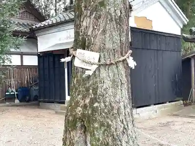 植木神社(三重県)