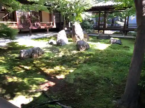 建仁寺（建仁禅寺）の庭園