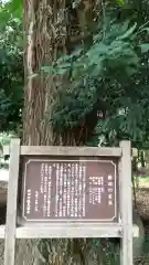 松尾神社の歴史