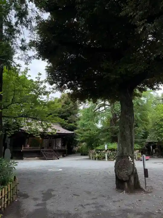 七社神社(東京都)