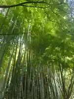 建長寺 半僧坊(神奈川県)