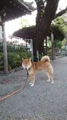 感通寺(東京都)