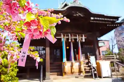 桜神宮の{uncategorized: "未分類", other: "その他", undefined: "問題あり", building: "その他建物", grave: "お墓", sacred_gate: "鳥居", guardian: "狛犬", statue: "像", buddha: "仏像", history: "歴史", nature: "自然", garden: "庭園", animal: "動物", pagoda: "塔", temizu: "手水舎", mountain_gate: "山門・神門", sanctuary: "本殿・本堂", subordinate: "末社・摂社", art: "芸術", scenery: "景色", jizo: "地蔵", ema: "絵馬", goshuin: "御朱印", omikuji: "おみくじ", items: "授与品その他", amulet: "お守り", goshuincho: "御朱印帳", eats: "食事", festival: "お祭り", votive_dance: "神楽", shichigosan: "七五三参", wedding: "結婚式", experience: "体験その他", initially: "初詣", around: "周辺", anti_infection: "感染症対策"}