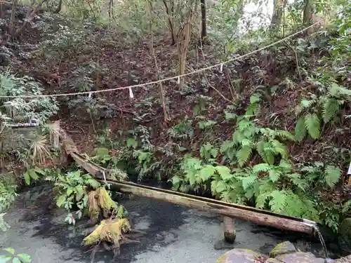 熊野神社の自然