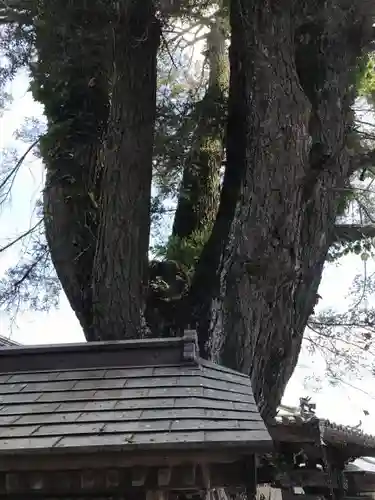 常楽寺の建物その他