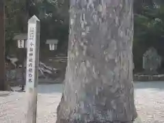 小鎚神社の自然