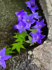 鹿島大神宮(福島県)