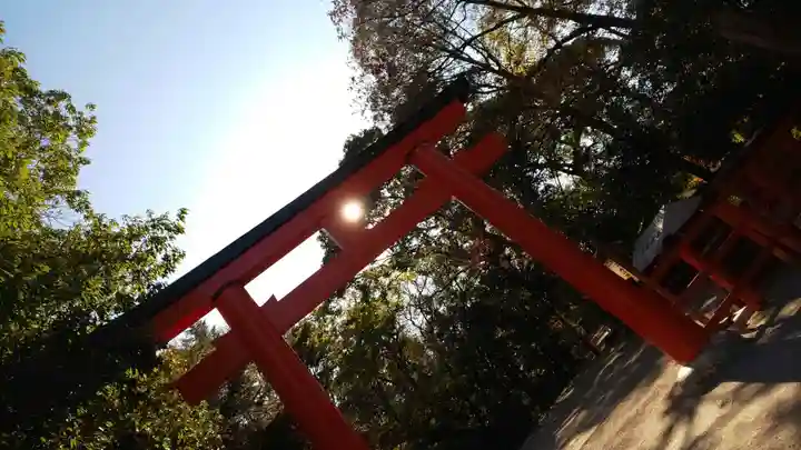 賀茂御祖神社(下鴨神社)(京都府)