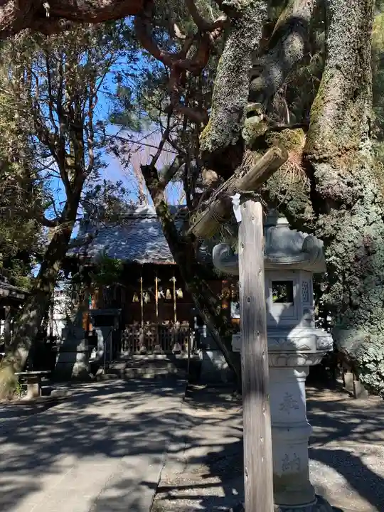 日限富士浅間神社の本殿・本堂