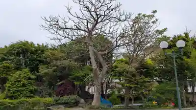 量徳寺(北海道)