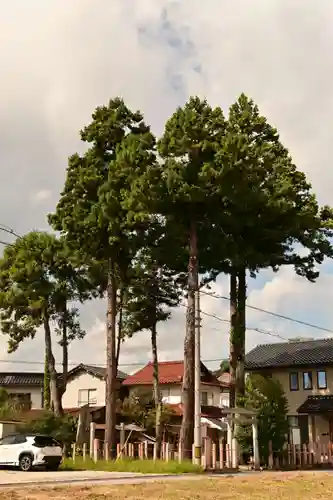 斐伊神社(島根県)