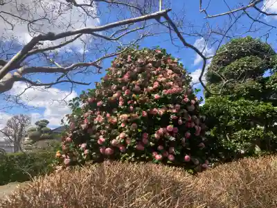 正福寺(神奈川県)