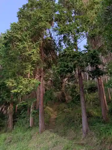 神社（名称不明）の景色