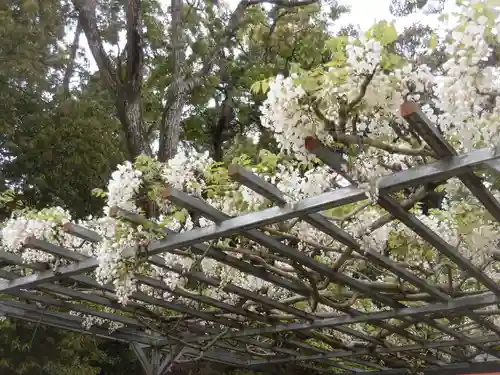 龍田大社の庭園