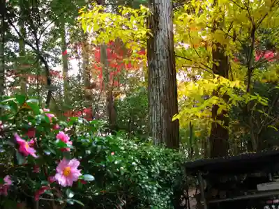 安養寺のその他建物