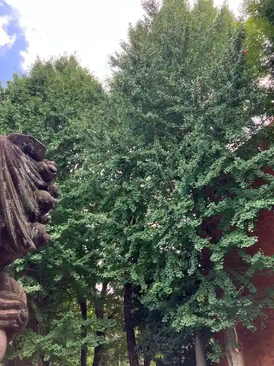 穏田神社の自然