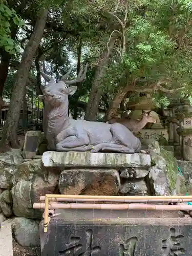 春日大社の手水舎