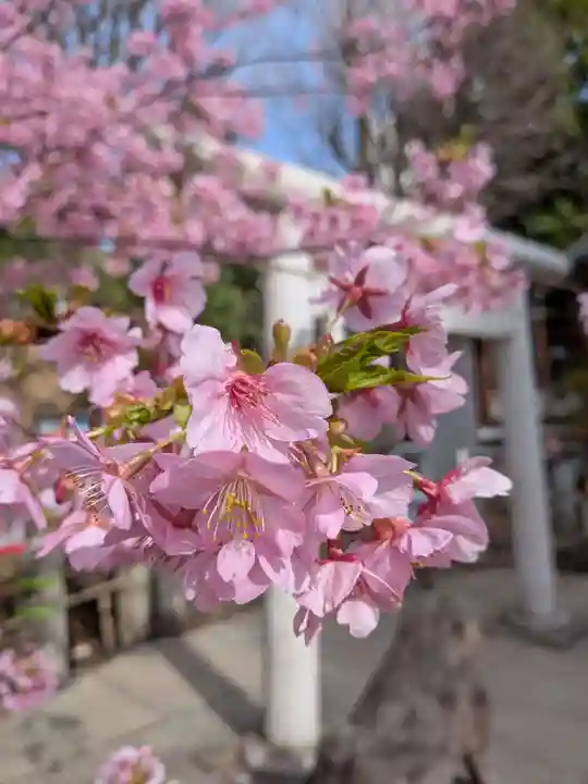 鳩森八幡神社(東京都)