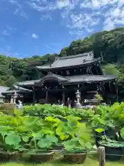 三室戸寺の本殿