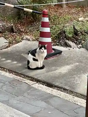 天王坊稲荷神社(岐阜県)